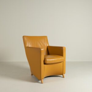 Leolux Dolcinea Fauteuil Okergeel Leer