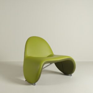 Leolux Sella Fauteuil Groen Leer